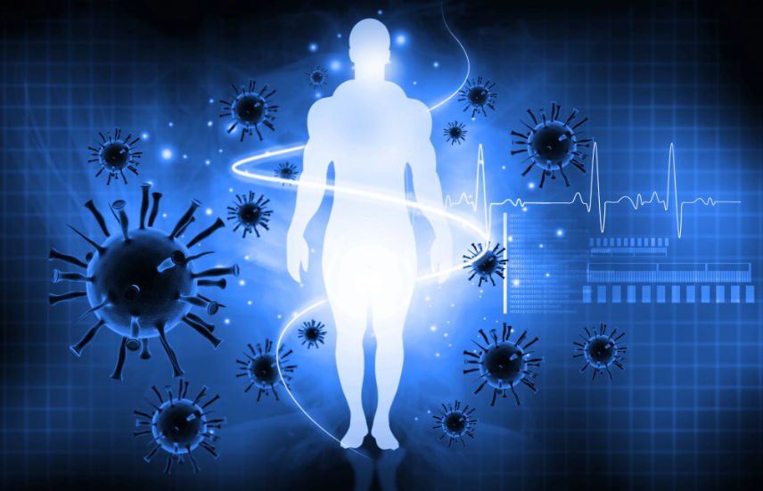 133336.png 133336.png