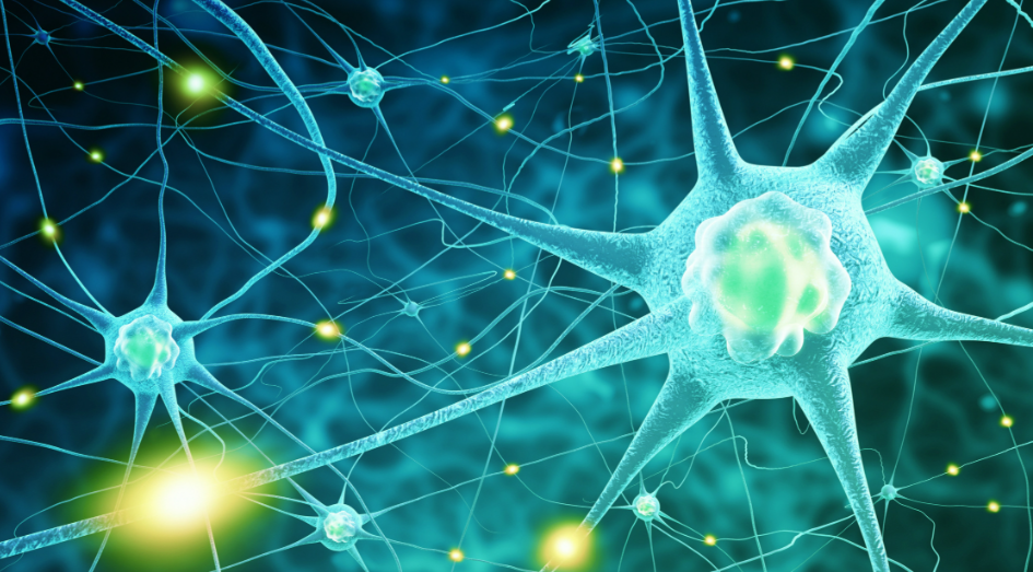 神经精神测试题(NPI)