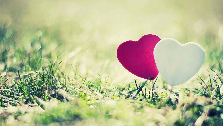 情商比智商更重要!专业版情商测试教你读懂人心