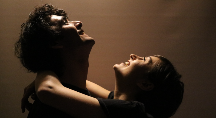 idrlabs性取向测试-idrlabs测试入口与性取向权威测评