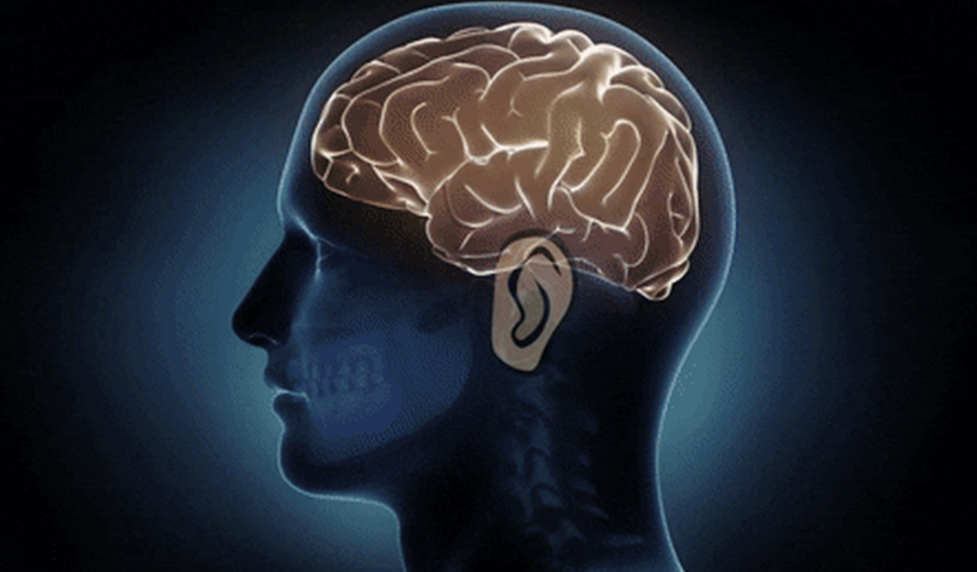 测测你是理性脑还是感性脑？90%的人都准哭了