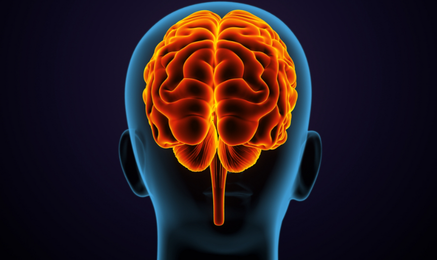 门萨智商测试真的准吗？19道题测出你的智力极限