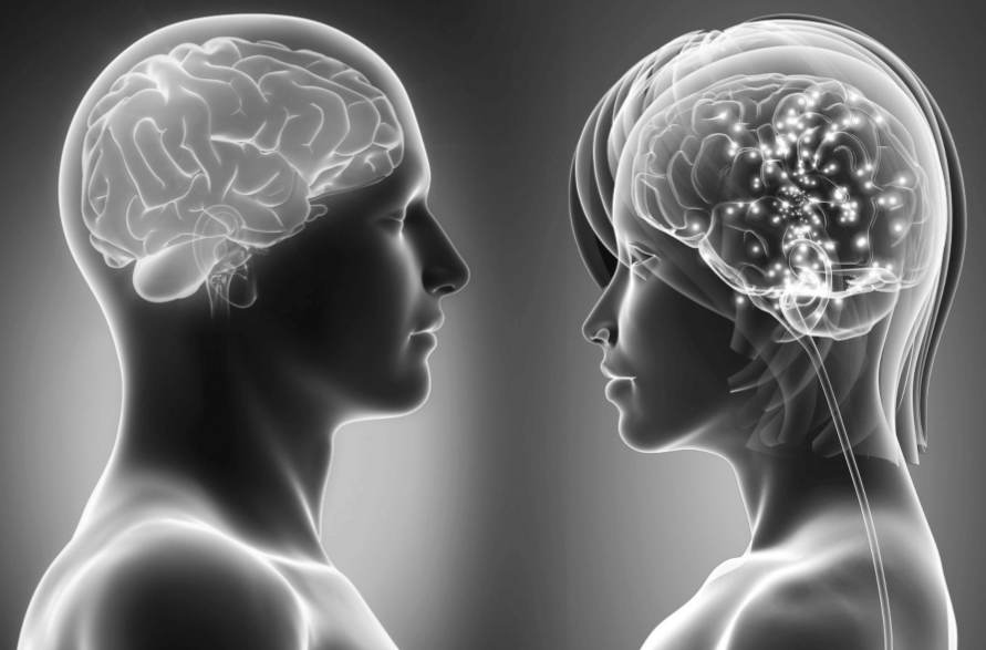 左脑右脑测试，测你是理性型还是感性型