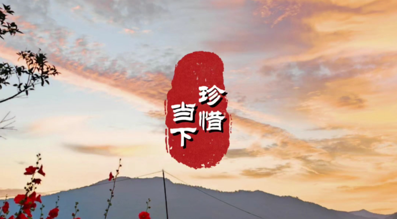 接纳无常,珍惜当下的每一天