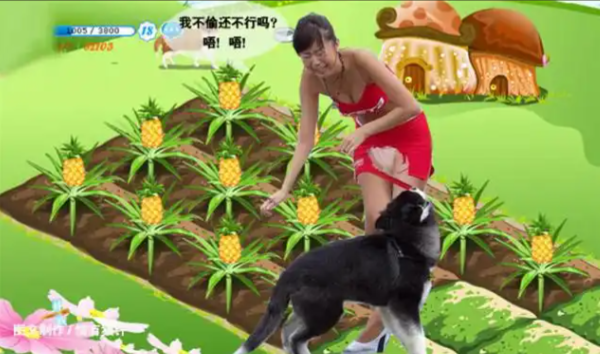 白领沉迷偷菜,竟然患上神经衰弱