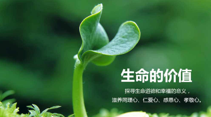 人终有一死,活着真正的意义到底是什么