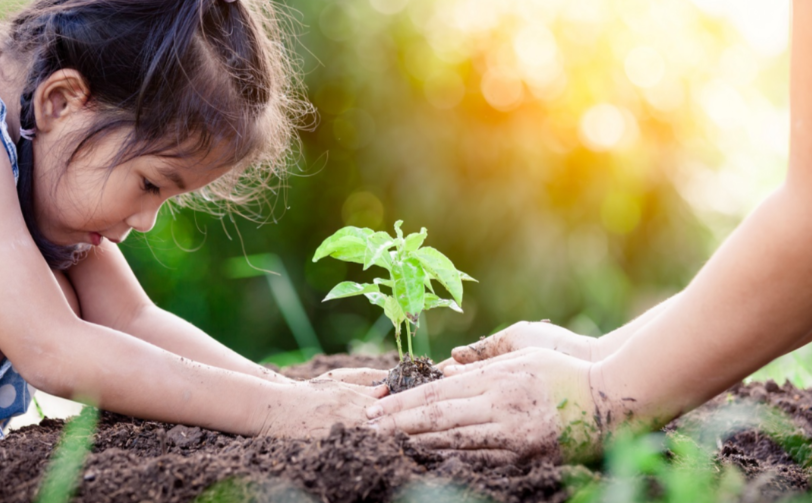 把孩子当植物养之后,我整个人轻松多了